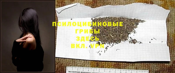 меф Гусев