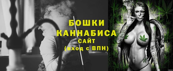соль ск Гусиноозёрск