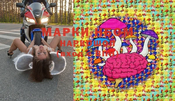 дмт Дмитров