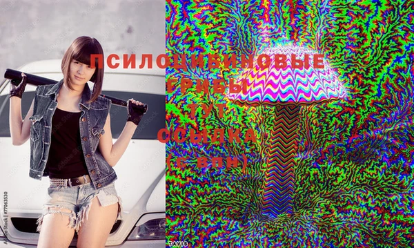 соль ск Гусиноозёрск